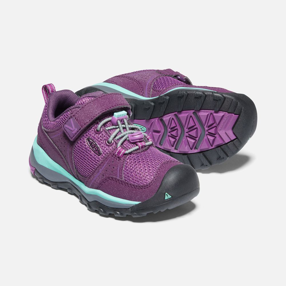 Zapatillas Keen Mexico Morados - Niños Terradora Ii Sport Vent Shoes - DN4320867